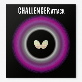 Butterfly Challenger Attack