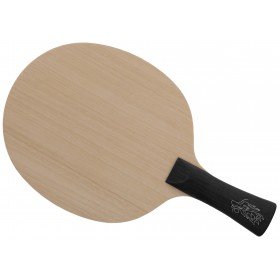 DHS Hurricane Wang Chuqin