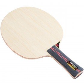 DONIC PERSSON POWERALLROUND SENSO V2