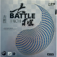 Friendship 729 Battle Taichi 37/39