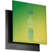 JOOLA TRINITY Hugo Calderano Dynamic