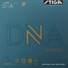 DNA Hybrid H