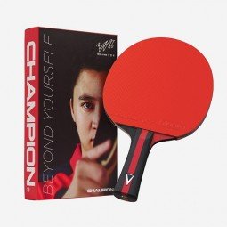 Kodėl stalo teniso rakečių kainos tokios skirtingos?